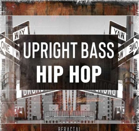 BFractal Music Upright Bass Hip Hop WAV